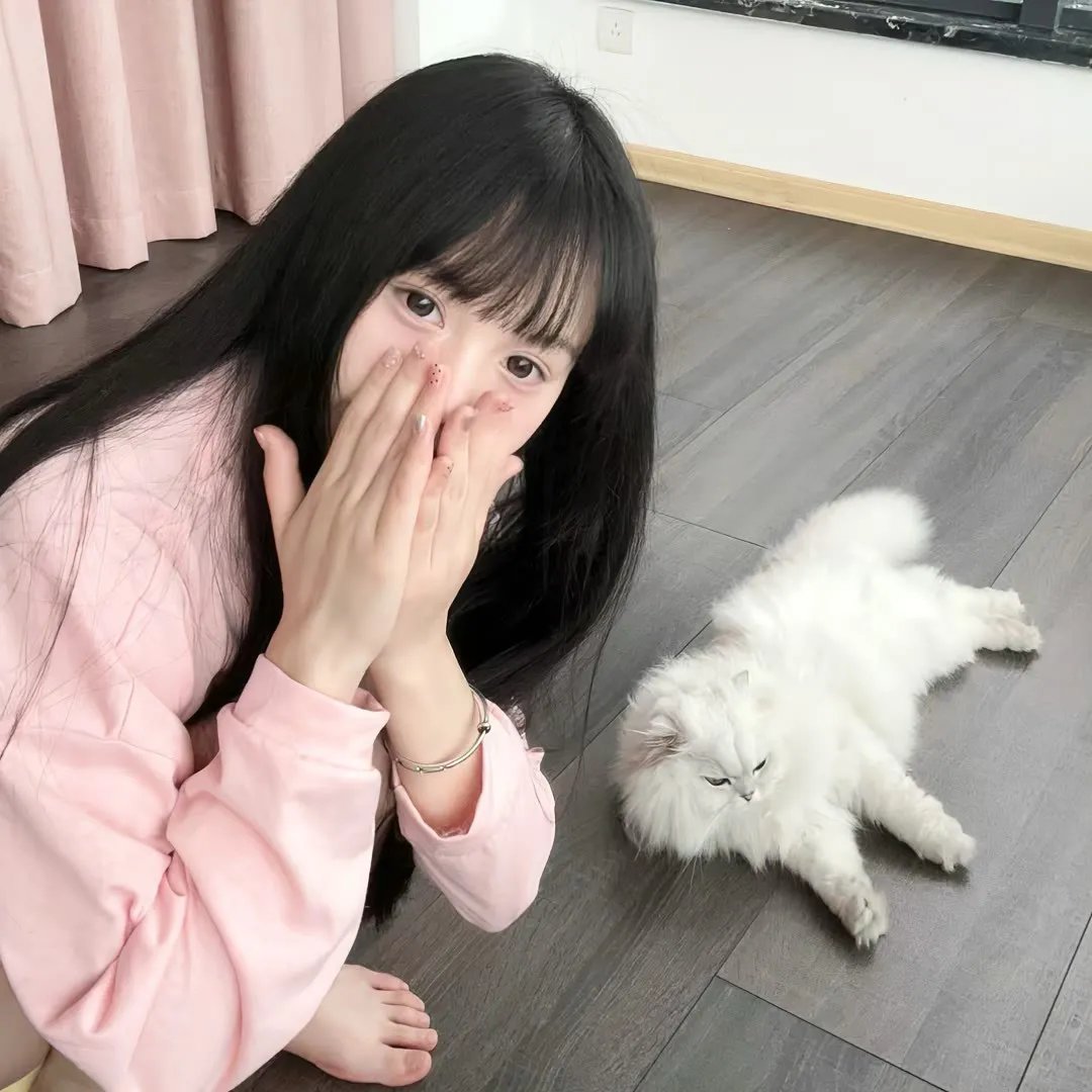 快走维斯纳 在线观看