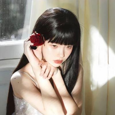 好莱坞以北 在线观看