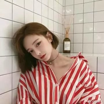 美女与猎犬 在线观看